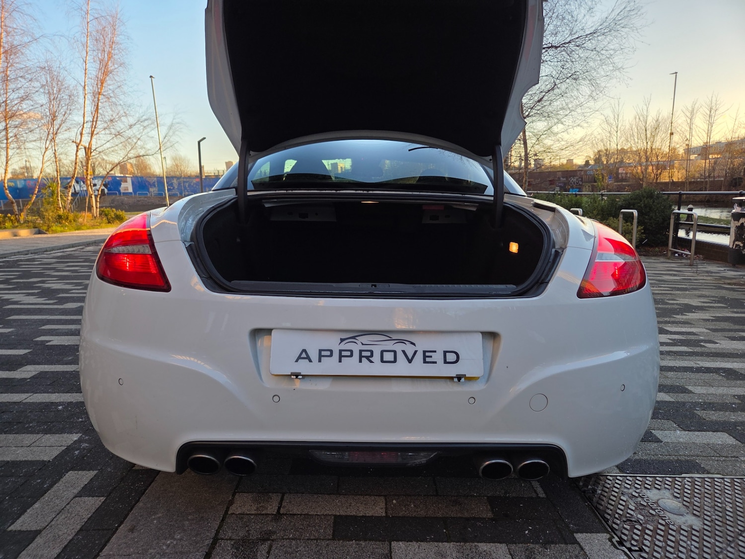 Used Peugeot RCZ 2011 for sale - 77095761: Photo 6