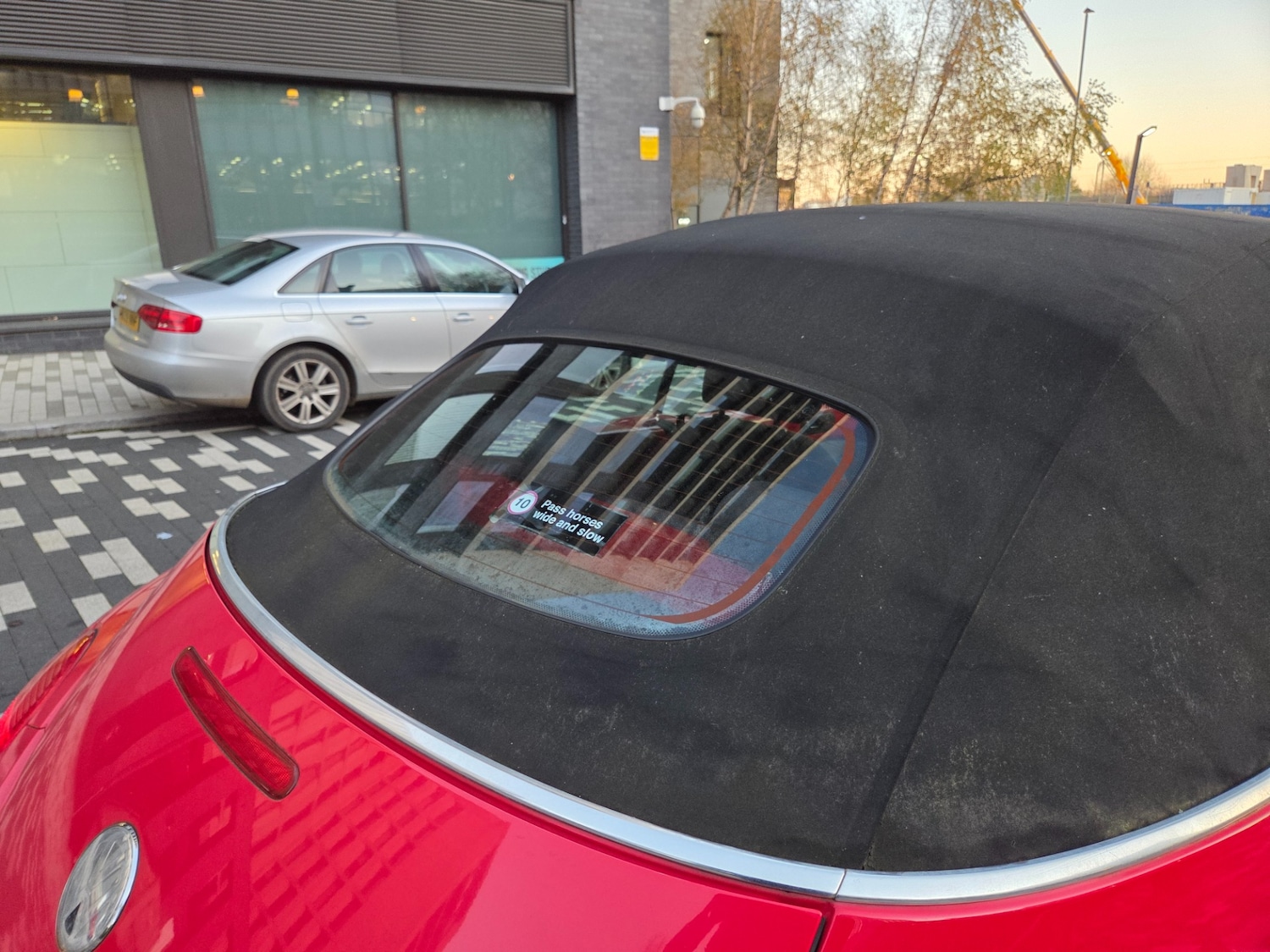 Used Volkswagen Beetle 2004 for sale - 76649657: Photo 8