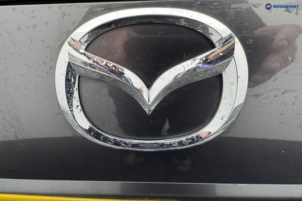 Vehicle 41