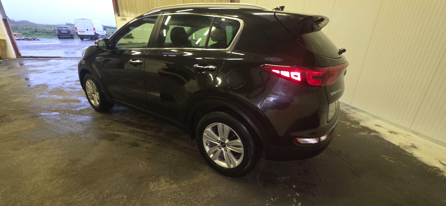 Used Kia Sportage 2016 for sale - 77042497: Photo 11