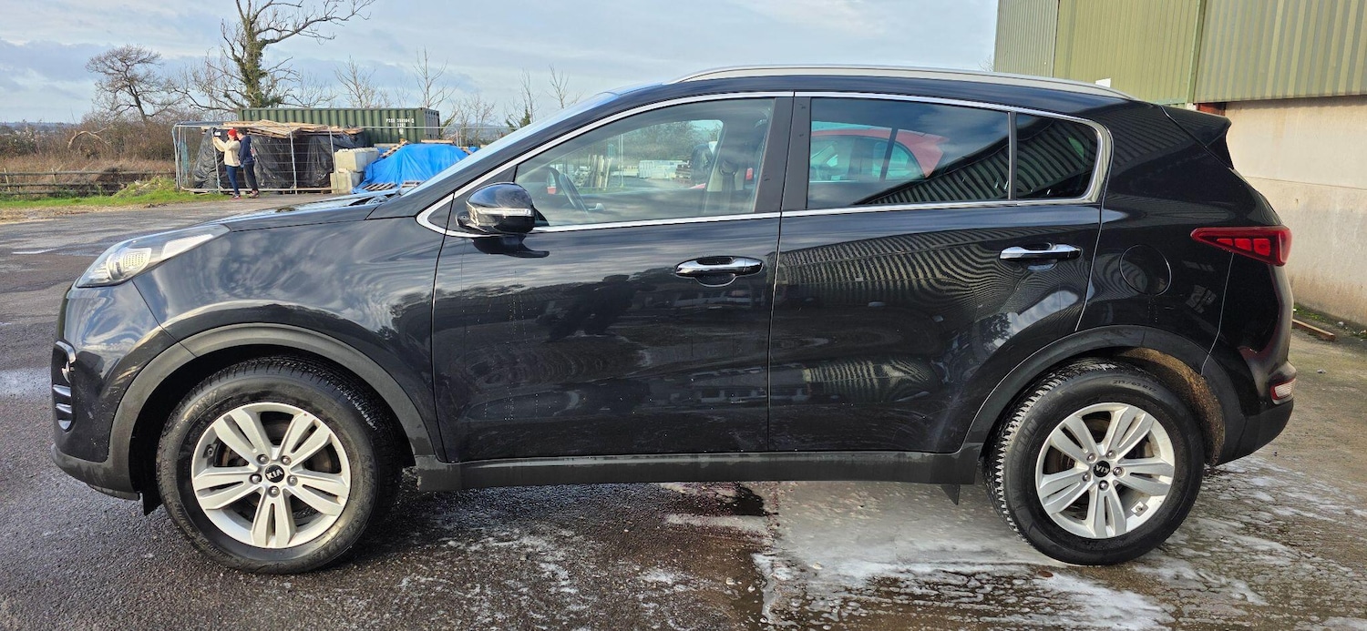 Used Kia Sportage 2016 for sale - 77042497: Photo 3