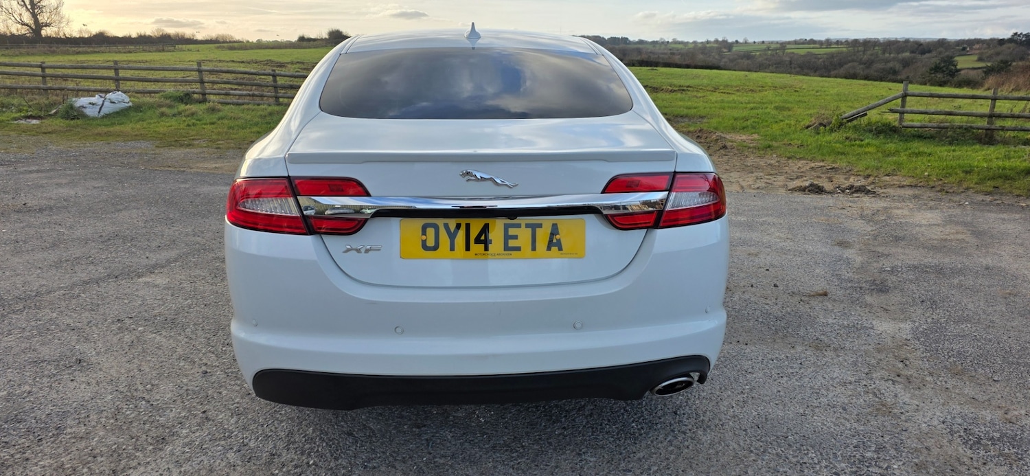 Used Jaguar XF 2014 for sale - 77071744: Photo 6