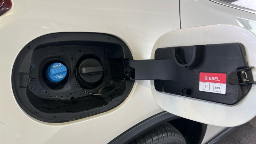 Used Nissan X-Trail 2019 for sale - 76874836: Photo 25