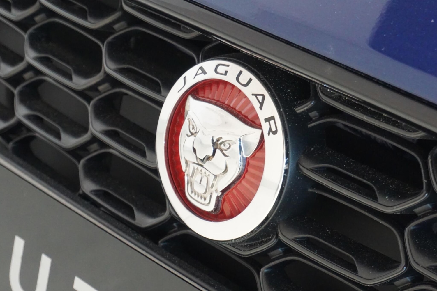 Used Jaguar F-Type 2021 for sale - 77957293: Photo 66