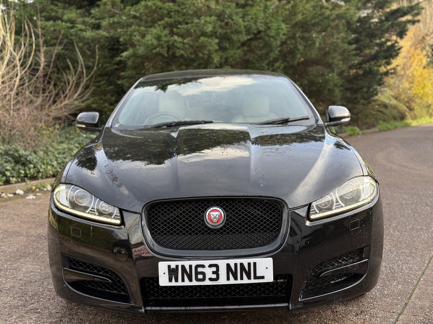 Used Jaguar XF 2014 for sale - 76571954: Photo 3
