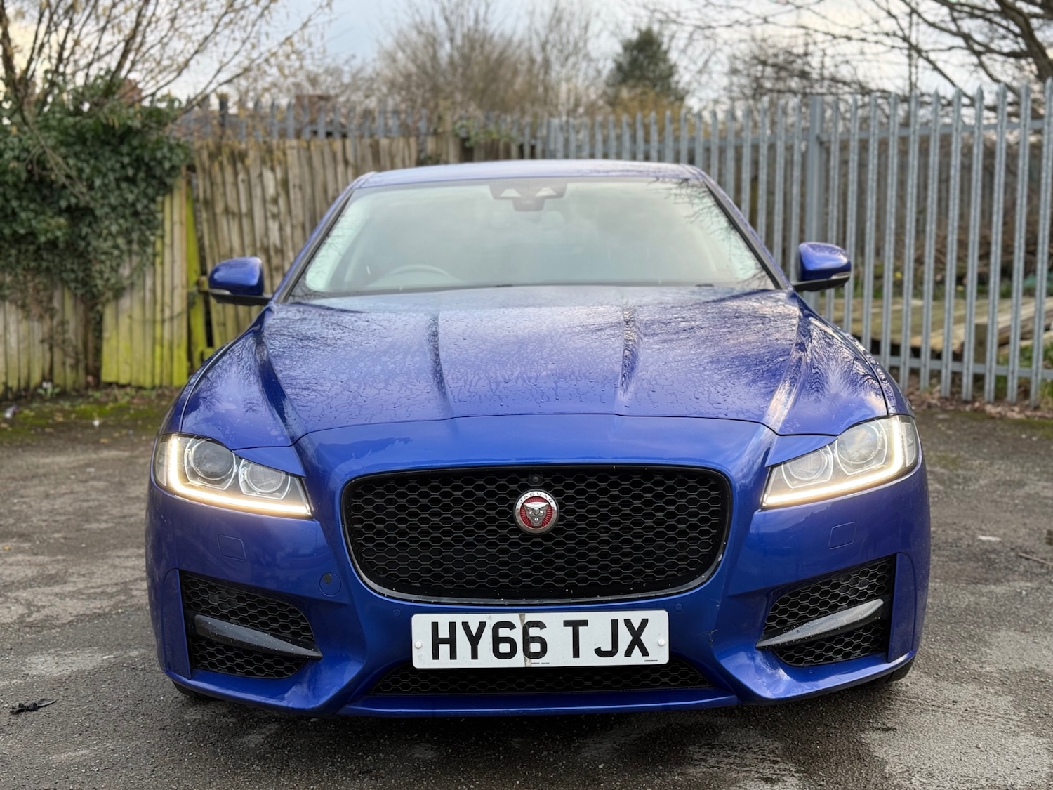 Used Jaguar XF 2016 for sale - 77494264: Photo 3