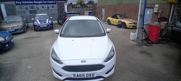 Used Ford Focus 2015 for sale - 76253410: Photo 3