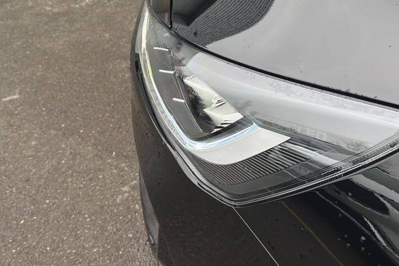 Used Ford Focus 2025 for sale - 77326781: Photo 37