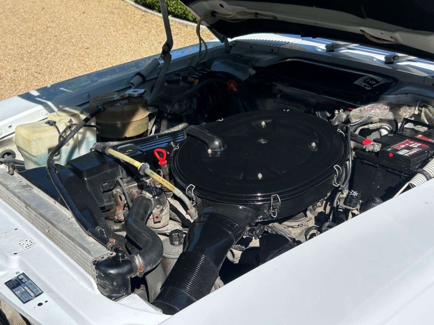 Used Mercedes-Benz SL 1989 for sale - 77086198: Photo 25