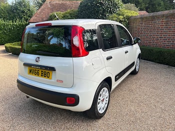 Used Fiat Panda 2016 for sale - 79838864: Photo