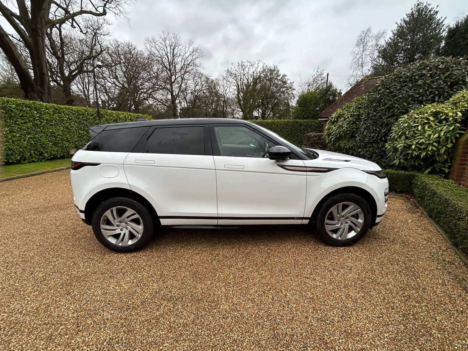 Used Land Rover Range Rover Evoque 2019 for sale - 77272705: Photo 5
