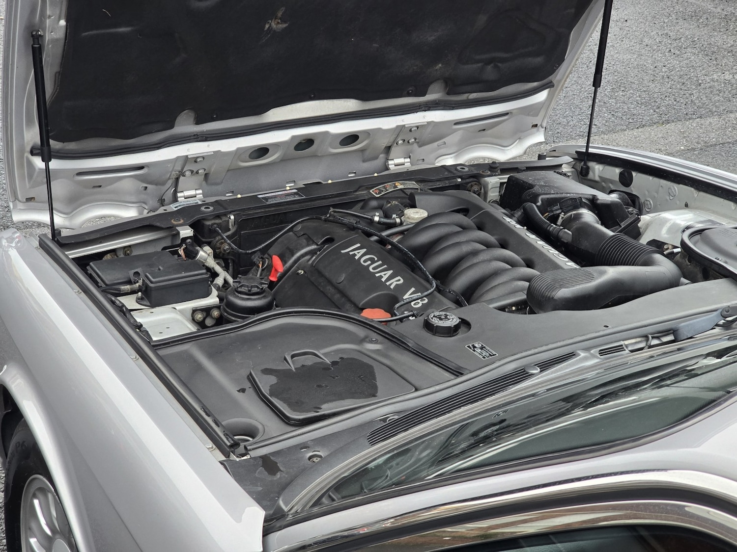 Used Jaguar XJ 2023 for sale - 77622529: Photo 10