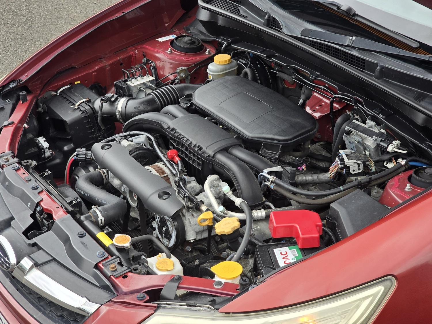 Used Subaru Exiga 2023 for sale - 78125197: Photo 46