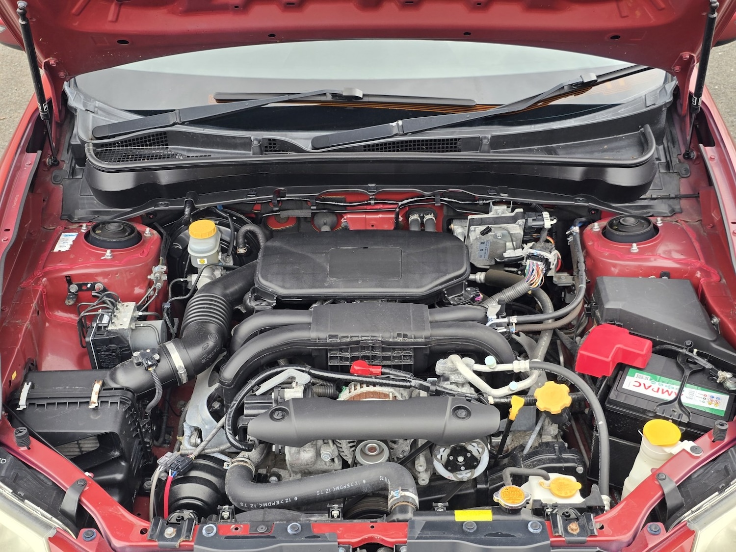 Used Subaru Exiga 2023 for sale - 78125197: Photo 47