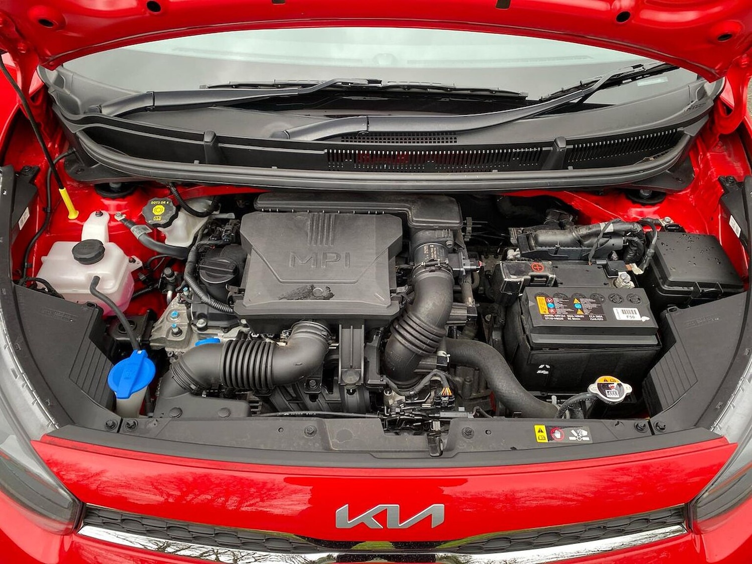 Used Kia Picanto 2022 for sale - 77775204: Photo 39