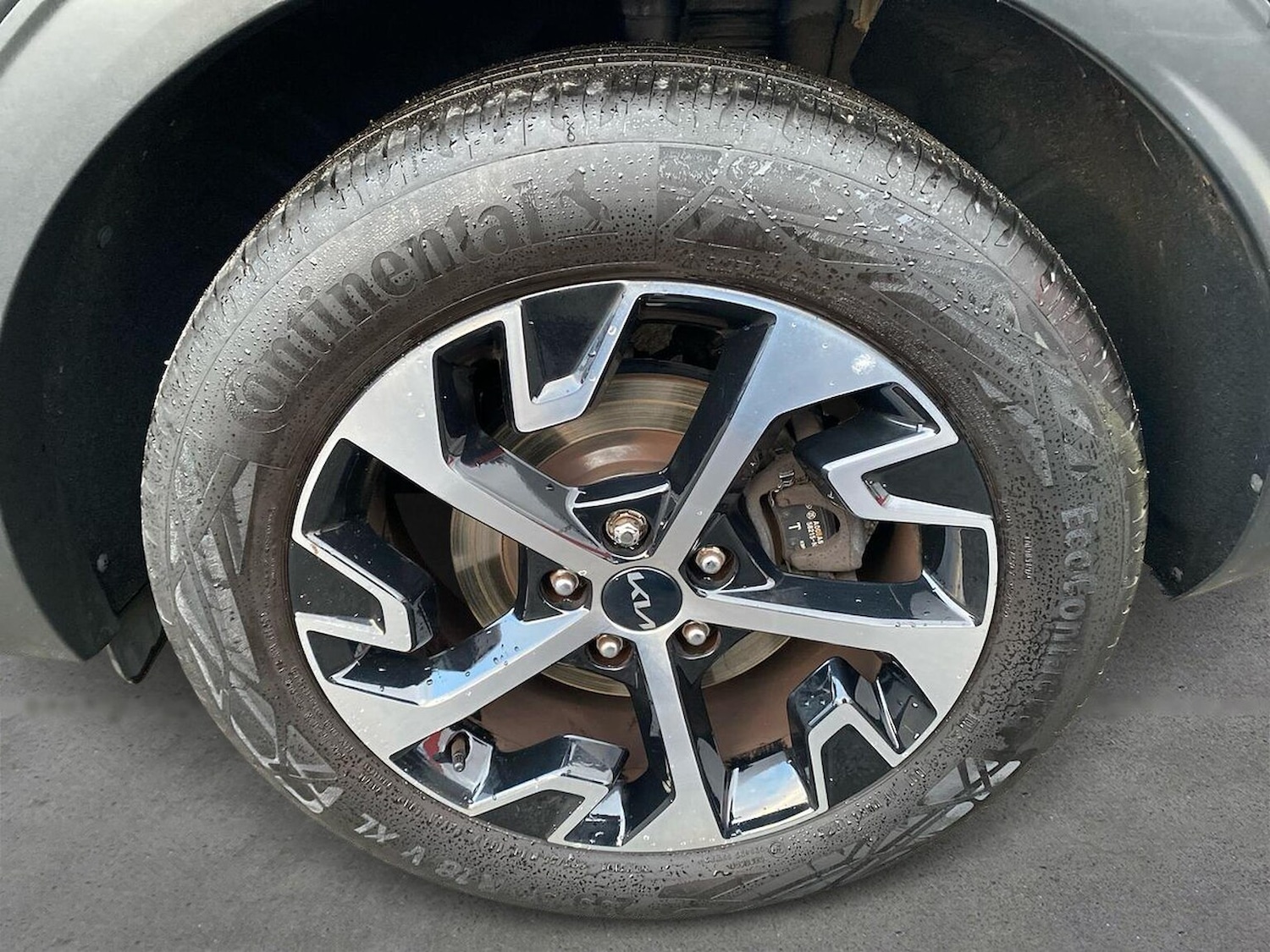 Used Kia Sportage 2024 for sale - 76687366: Photo 6