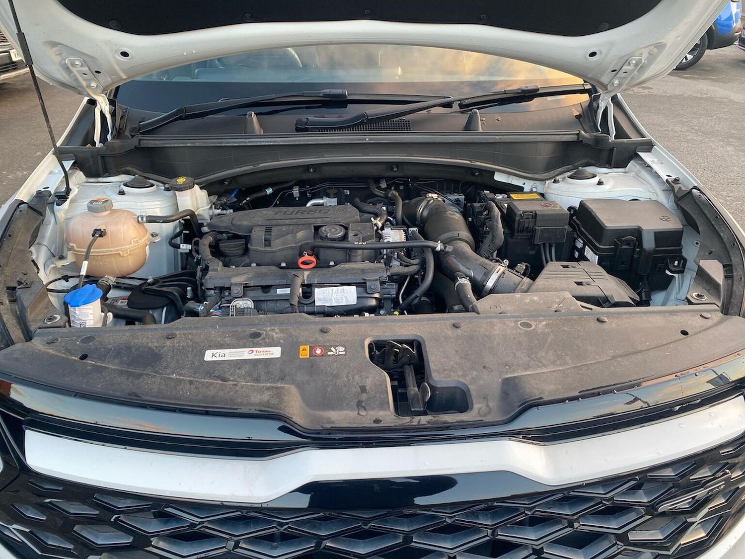 Used Kia Sportage 2022 for sale - 77008289: Photo 41