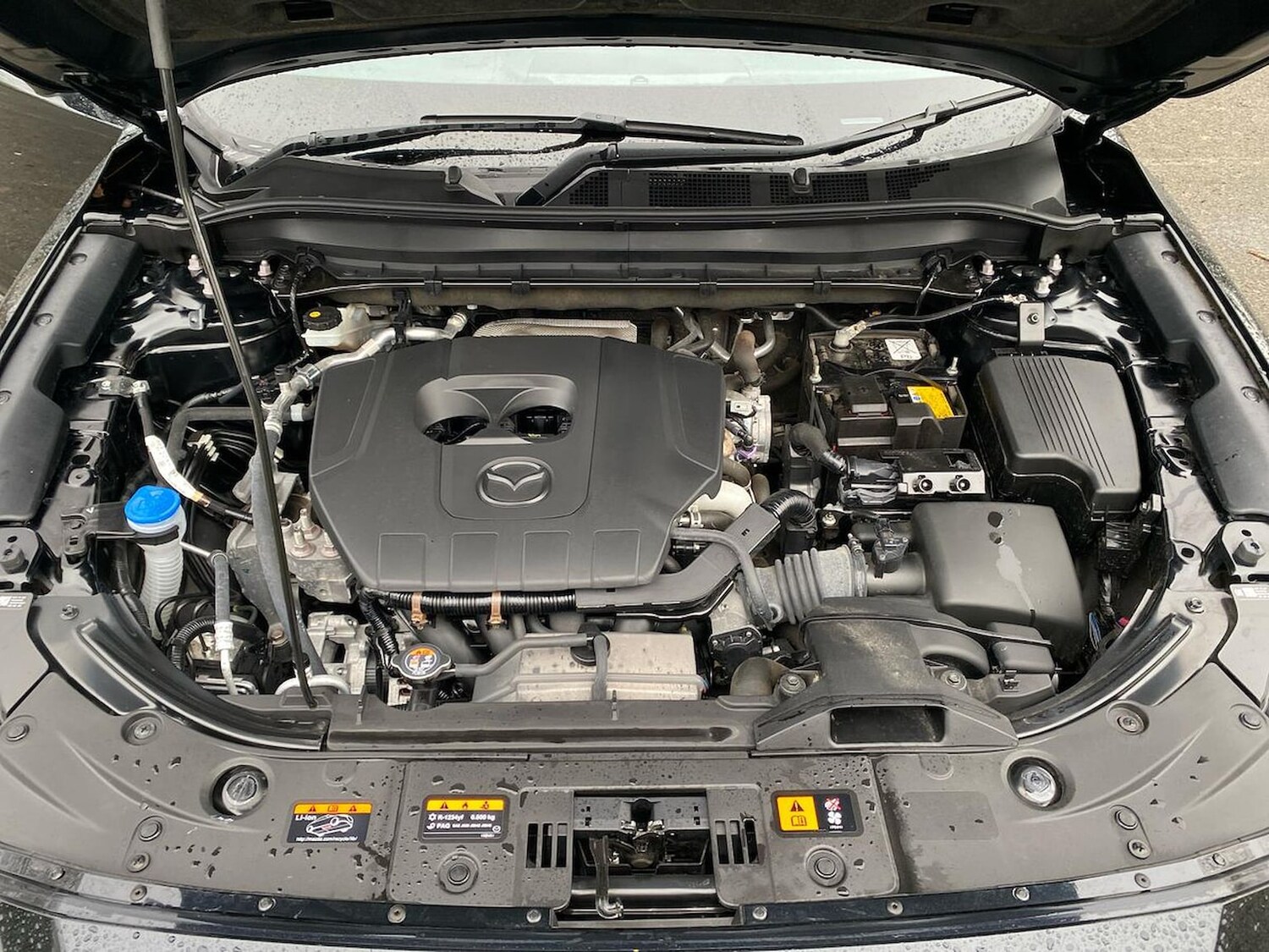 Used Mazda CX-5 2023 for sale - 77639291: Photo 39