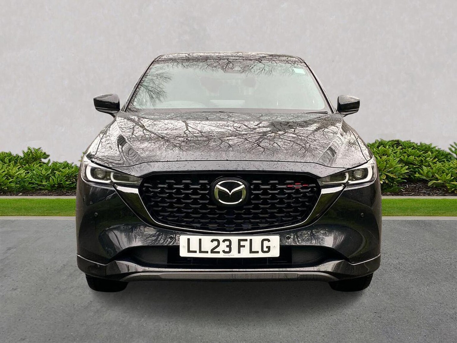 Used Mazda CX-5 2023 for sale - 77639291: Photo 5