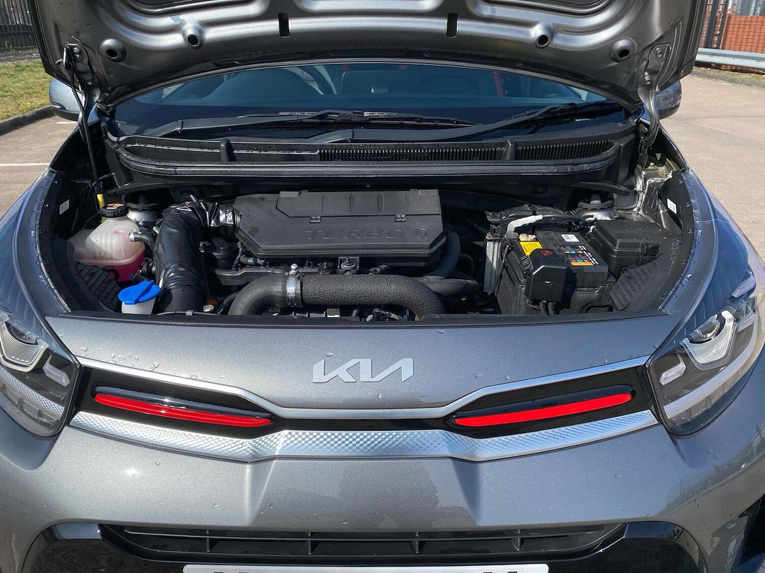 Used Kia Picanto 2023 for sale - 78192987: Photo 41