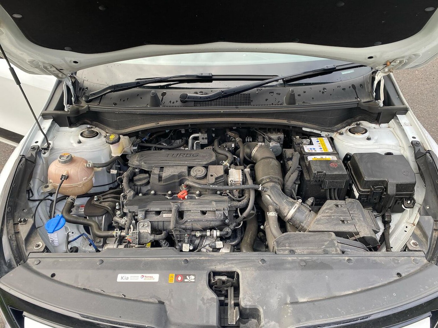 Used Kia Sportage 2023 for sale - 77775217: Photo 39