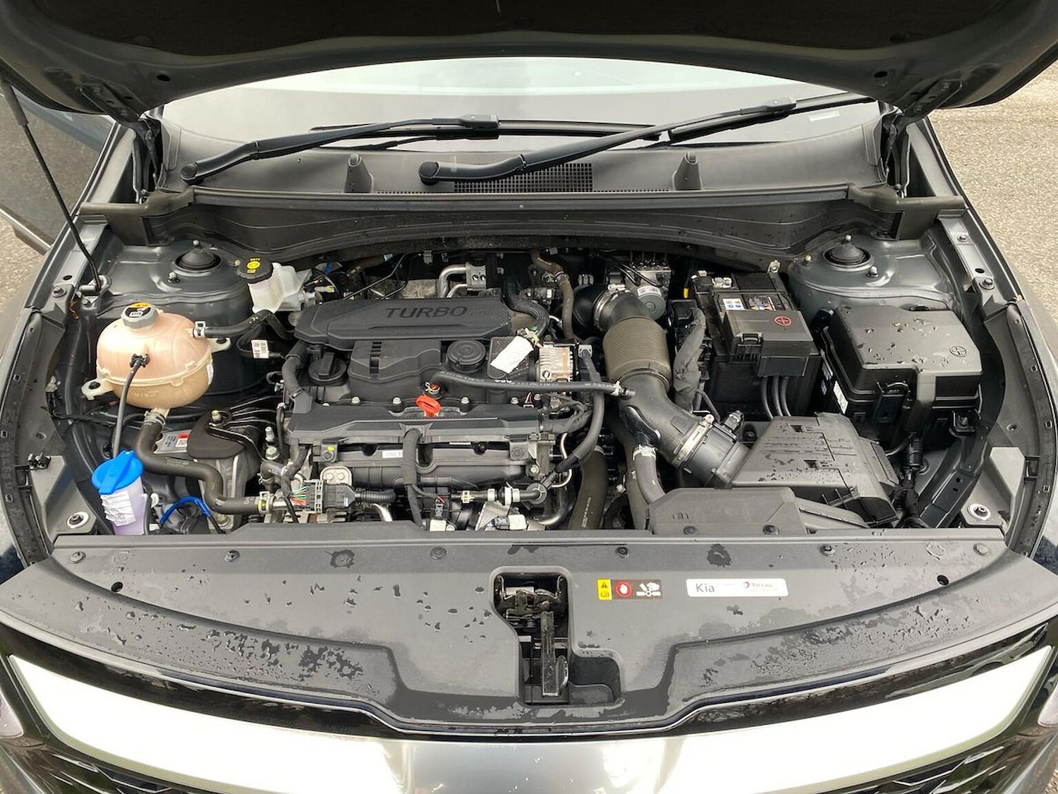 Used Kia Sportage 2023 for sale - 78060595: Photo 39