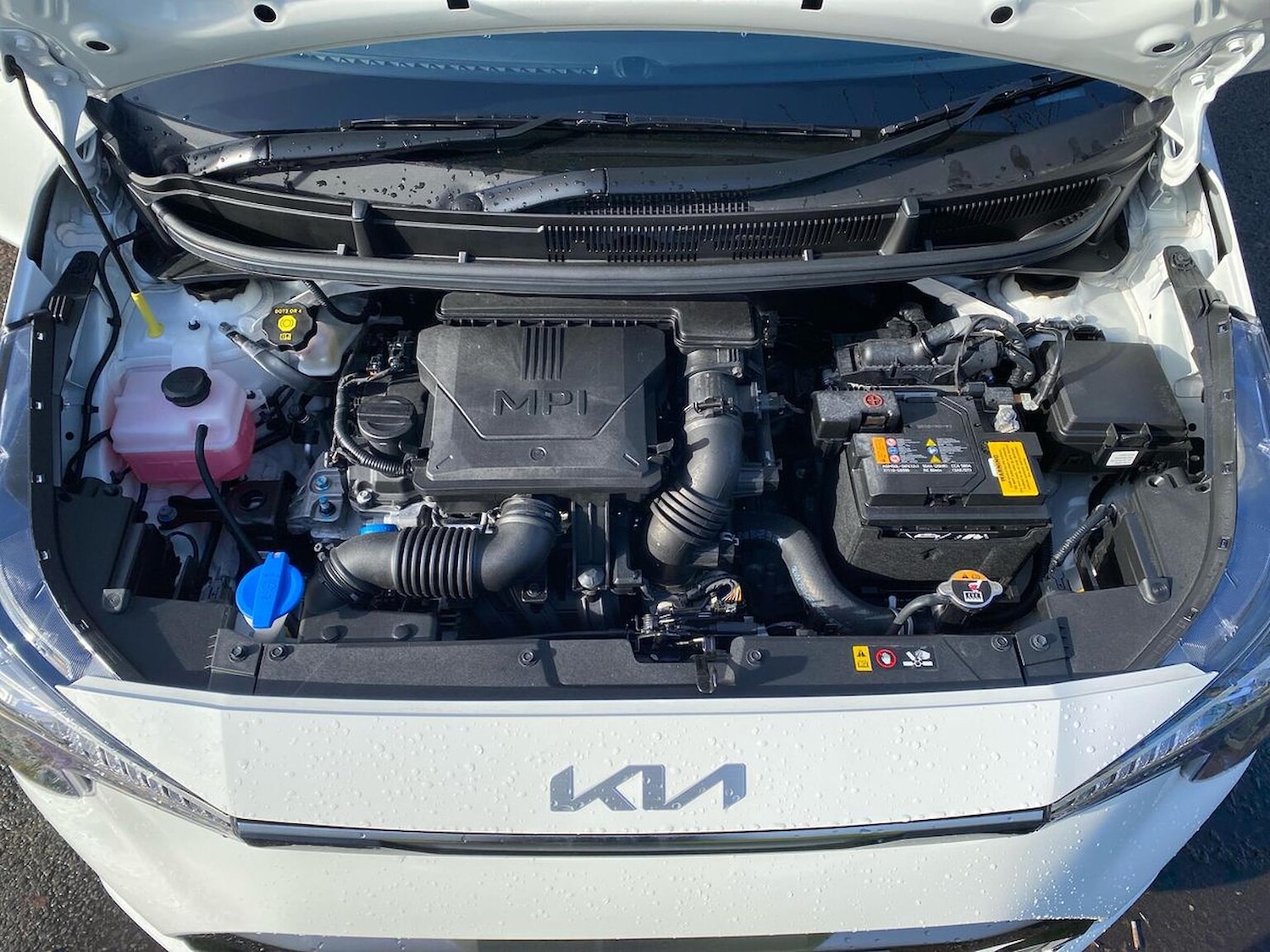 Used Kia Picanto 2025 for sale - 78121925: Photo 41