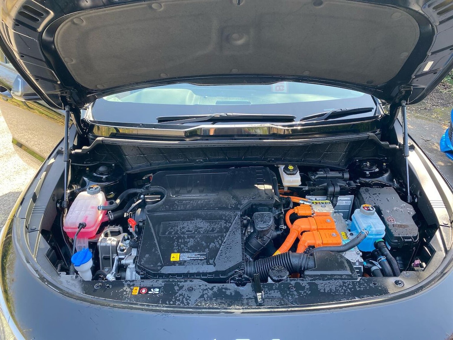 Used Kia Niro 2023 for sale - 78193119: Photo 41