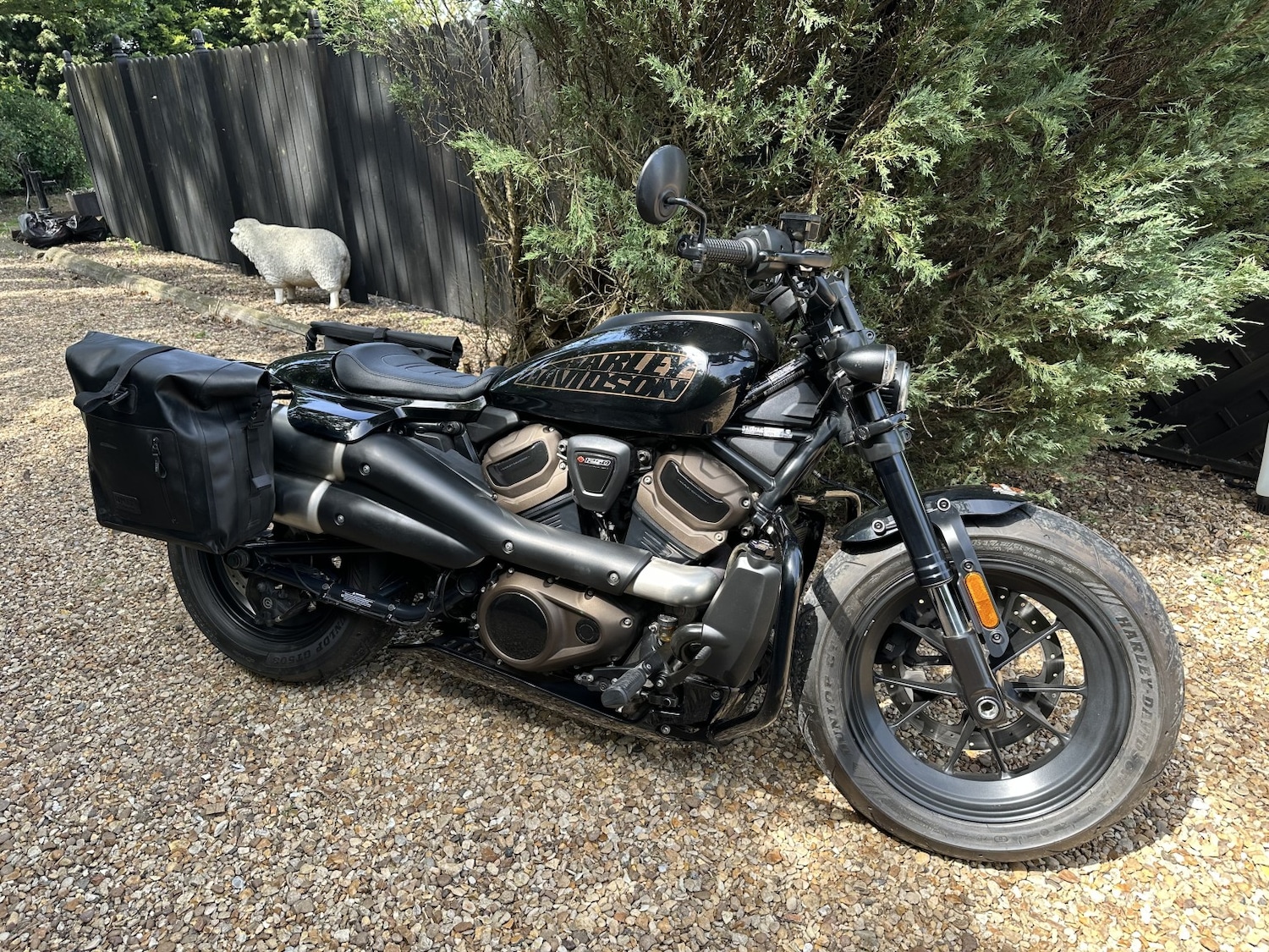 Used Harley-Davidson Sportster 2022 for sale - 78739504: Photo 10
