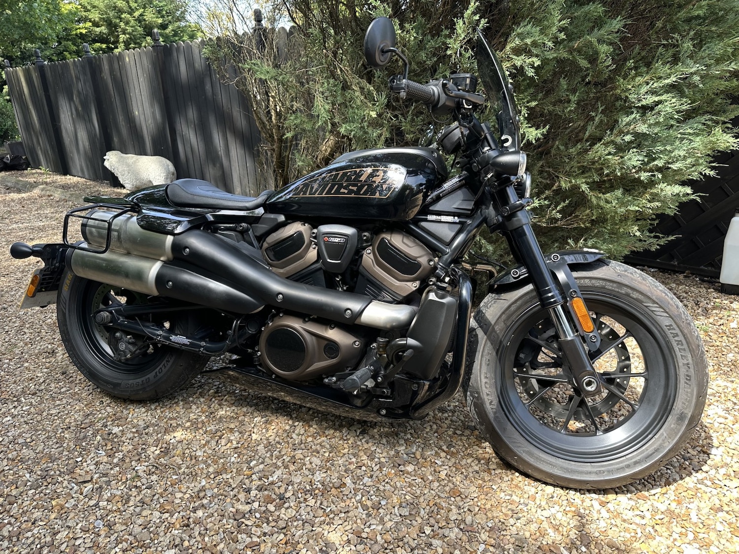 Used Harley-Davidson Sportster 2022 for sale - 78739504: Photo 12