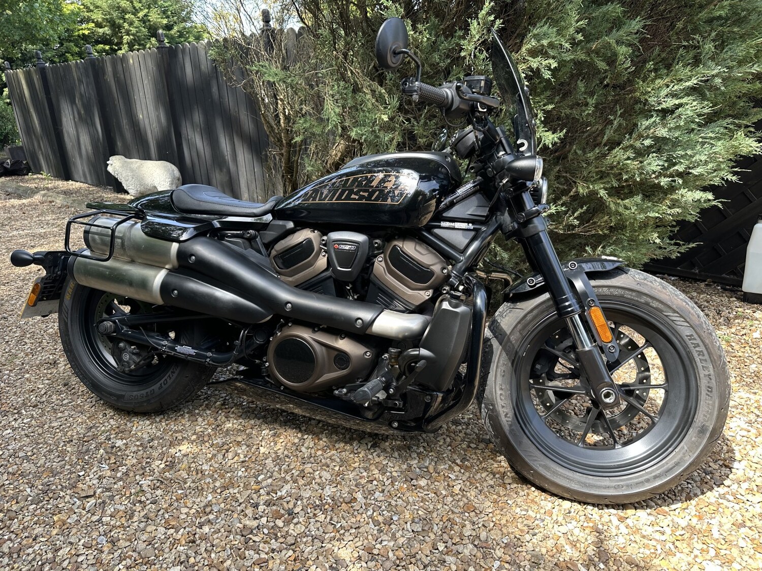 Used Harley-Davidson Sportster 2022 for sale - 78739504: Photo 13