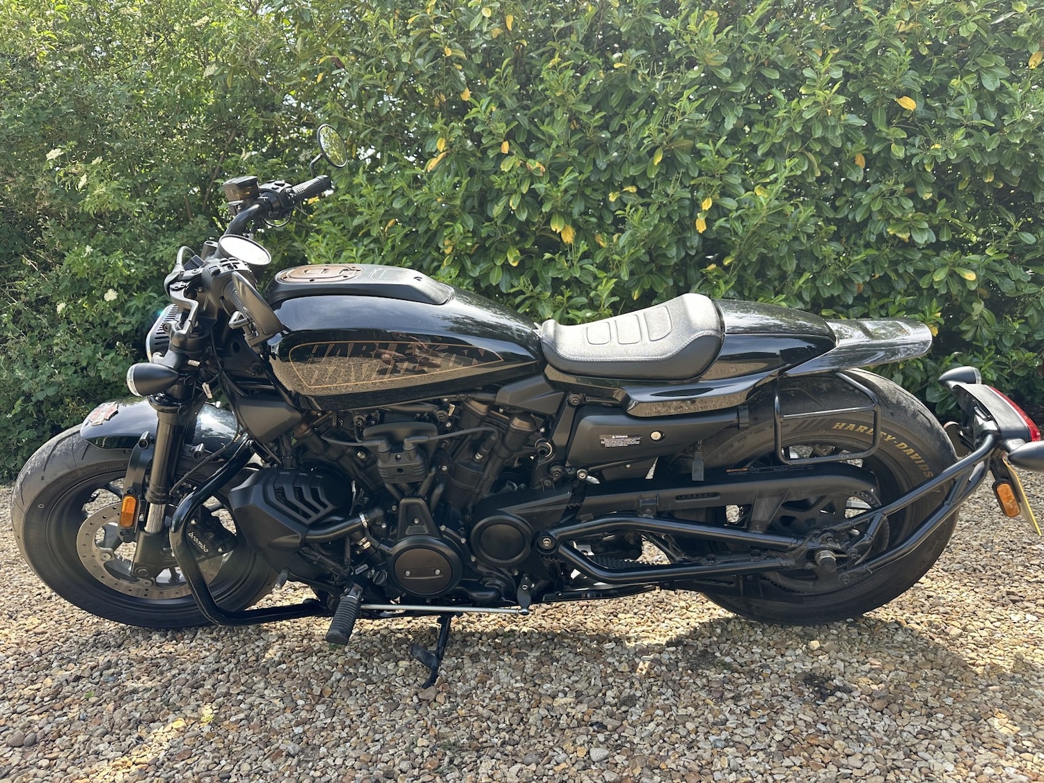 Used Harley-Davidson Sportster 2022 for sale - 78739504: Photo 19