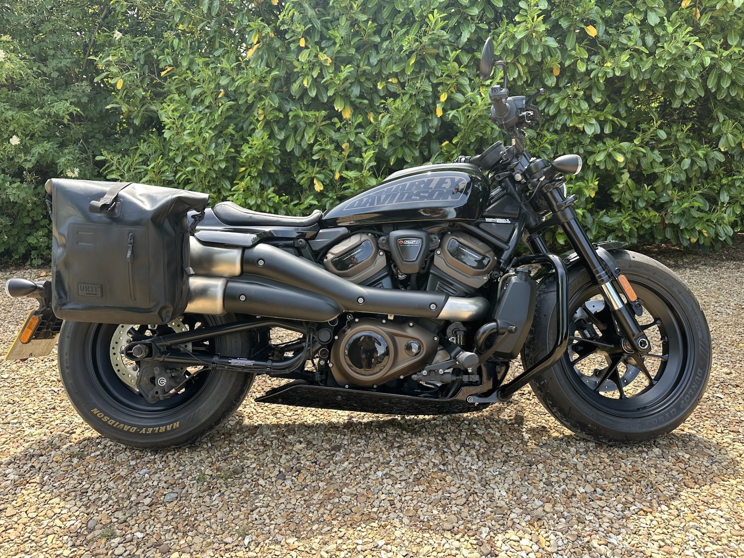 Used Harley-Davidson Sportster 2022 for sale - 78739504: Photo 2