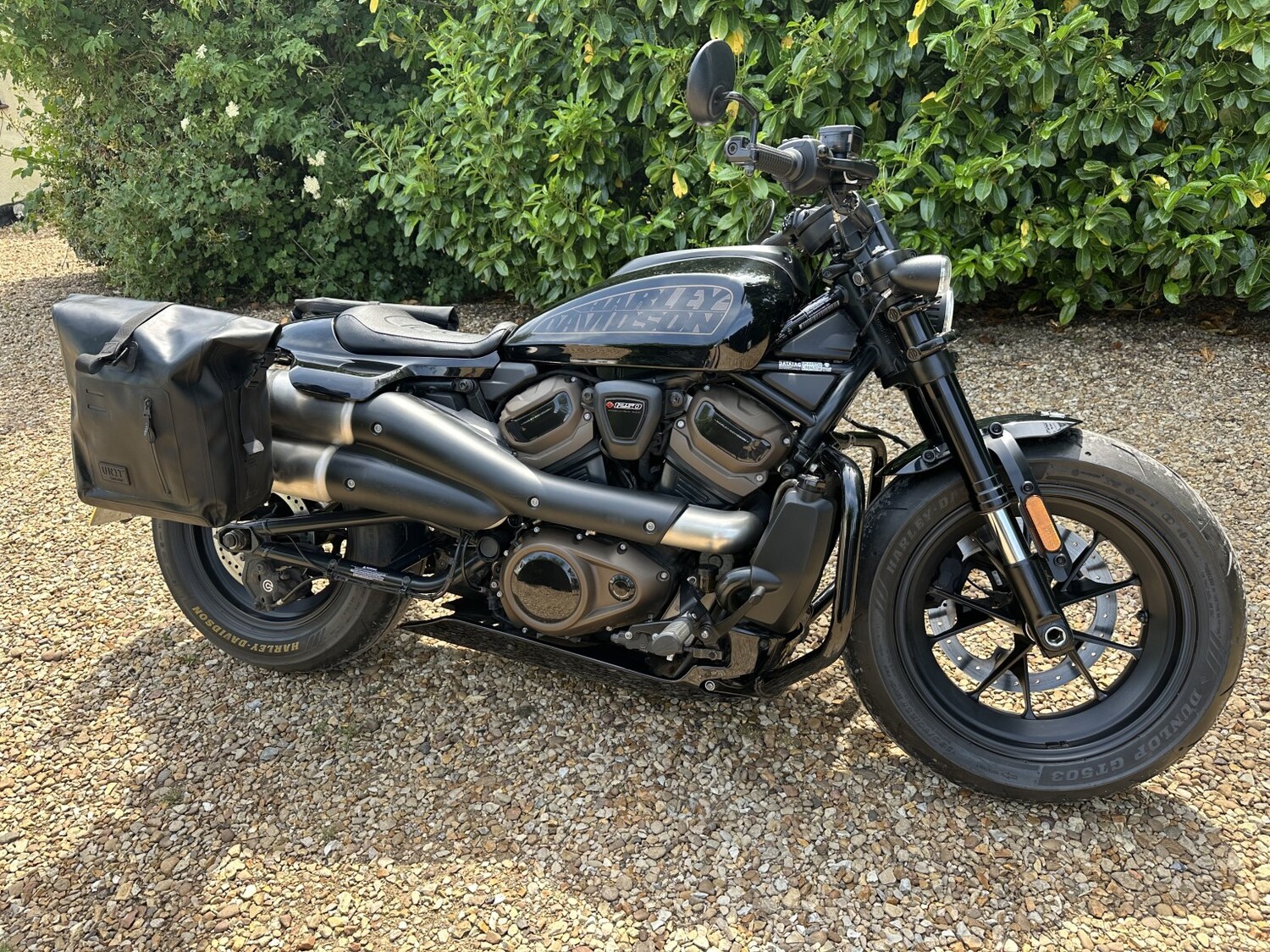 Used Harley-Davidson Sportster 2022 for sale - 78739504: Photo 3