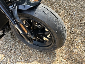 Used Harley-Davidson Sportster 2022 for sale - bike-78739504: Photo