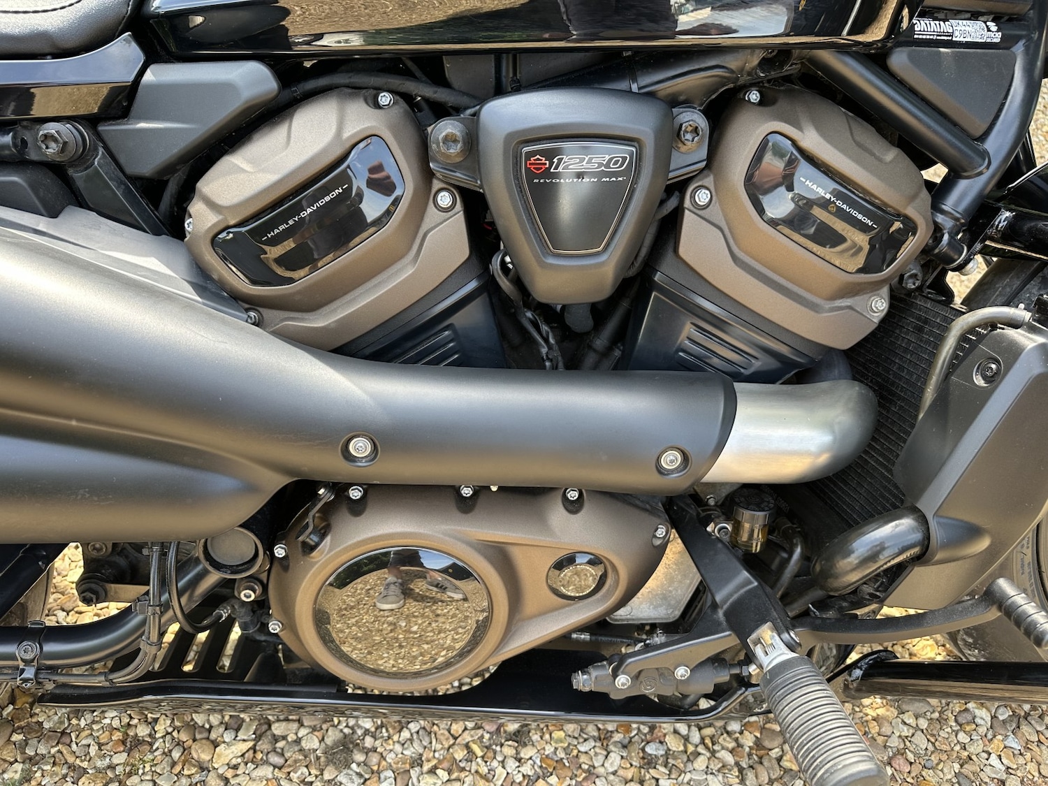 Used Harley-Davidson Sportster 2022 for sale - 78739504: Photo 6