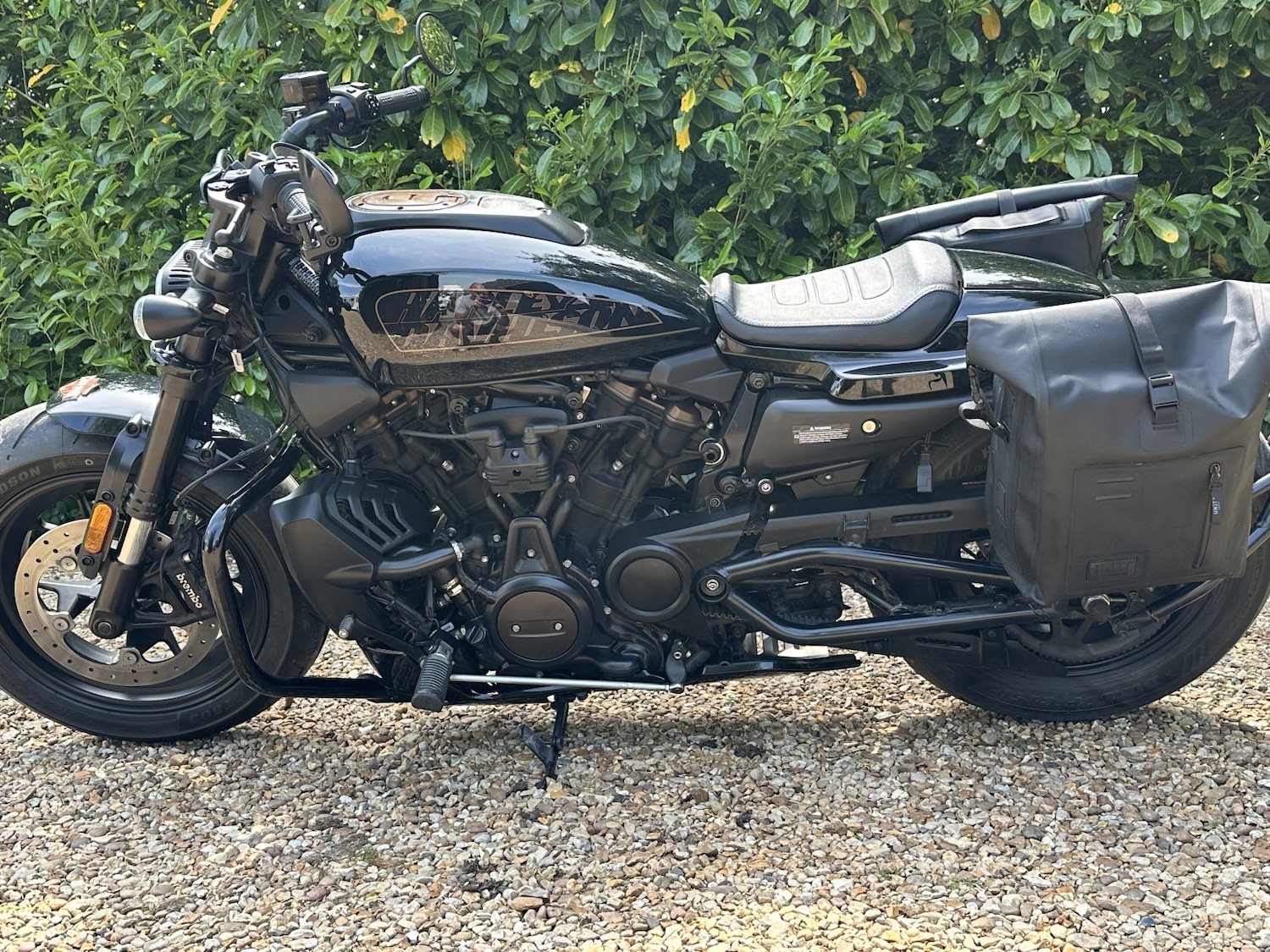 Used Harley-Davidson Sportster 2022 for sale - 78739504: Photo 7