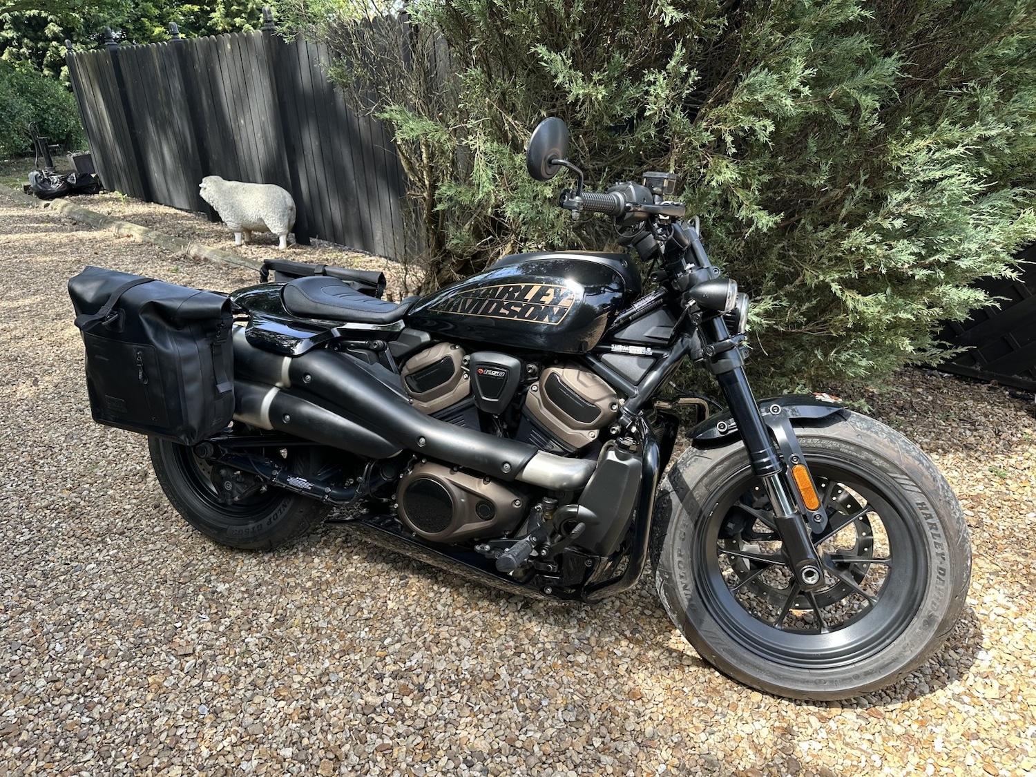 Used Harley-Davidson Sportster 2022 for sale - 78739504: Photo 9