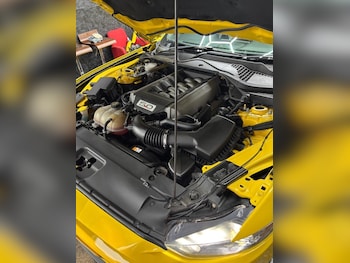 Used Ford Mustang 2017 for sale - 78461853: Photo