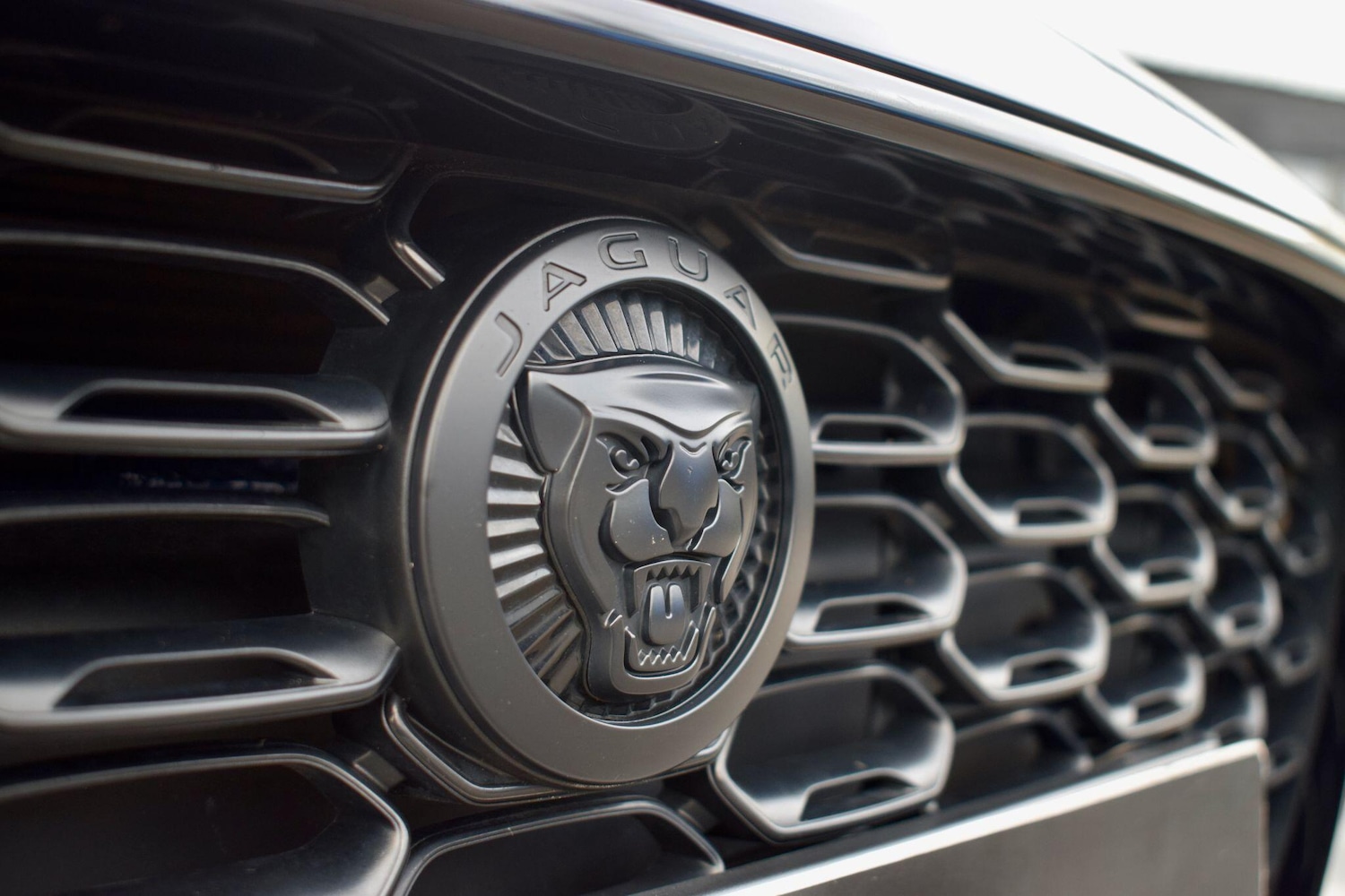 Used Jaguar F-Type 2024 for sale - 76886605: Photo 45