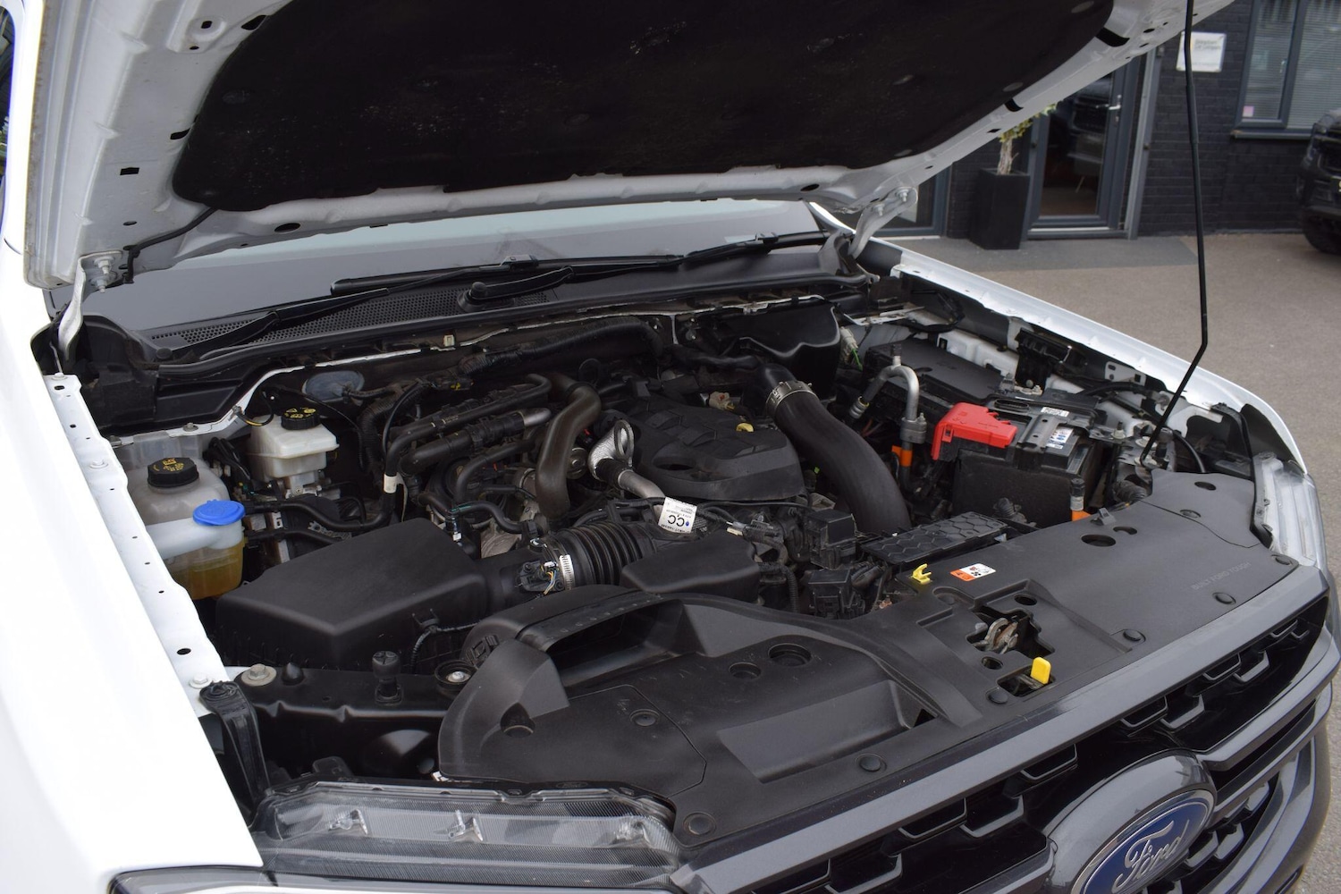 Used Ford Ranger 2023 for sale - 78034858: Photo 29