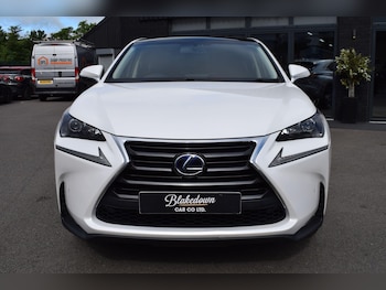 Used Lexus NX 2017 for sale - 78891400: Photo
