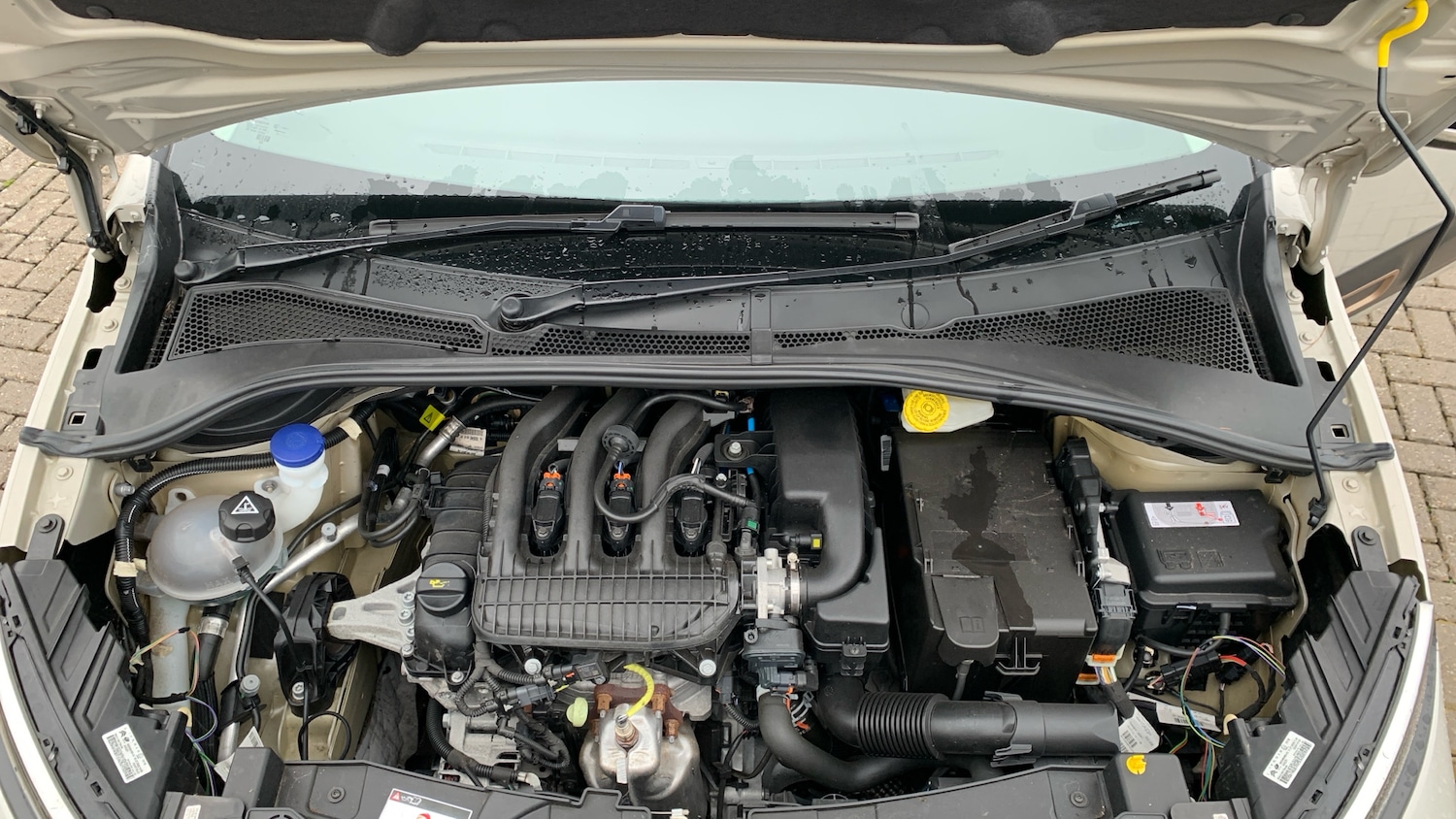 Used Citroen C3 2023 for sale - 77332446: Photo 19