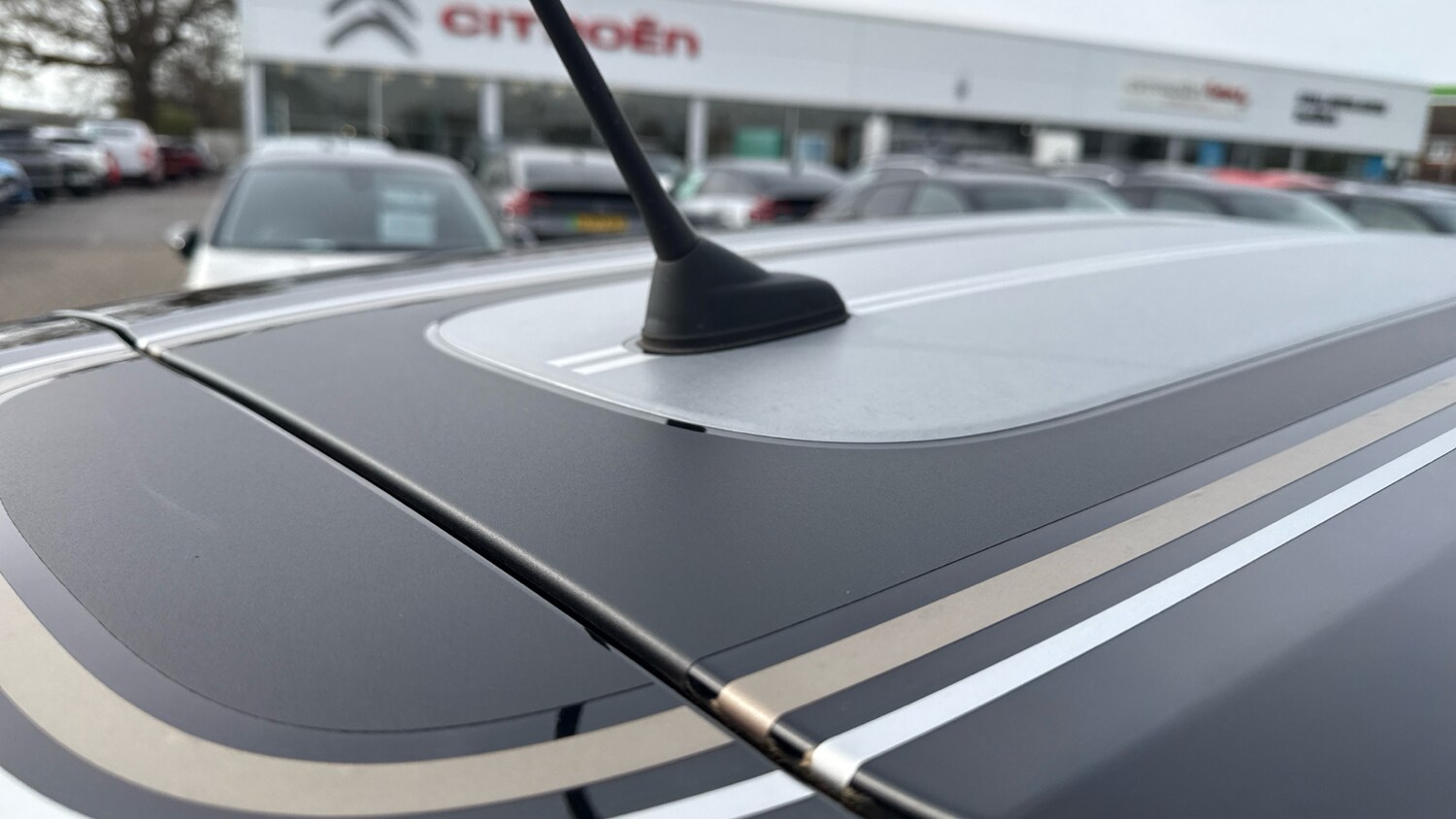 Used Citroen C3 2023 for sale - 78008392: Photo 46