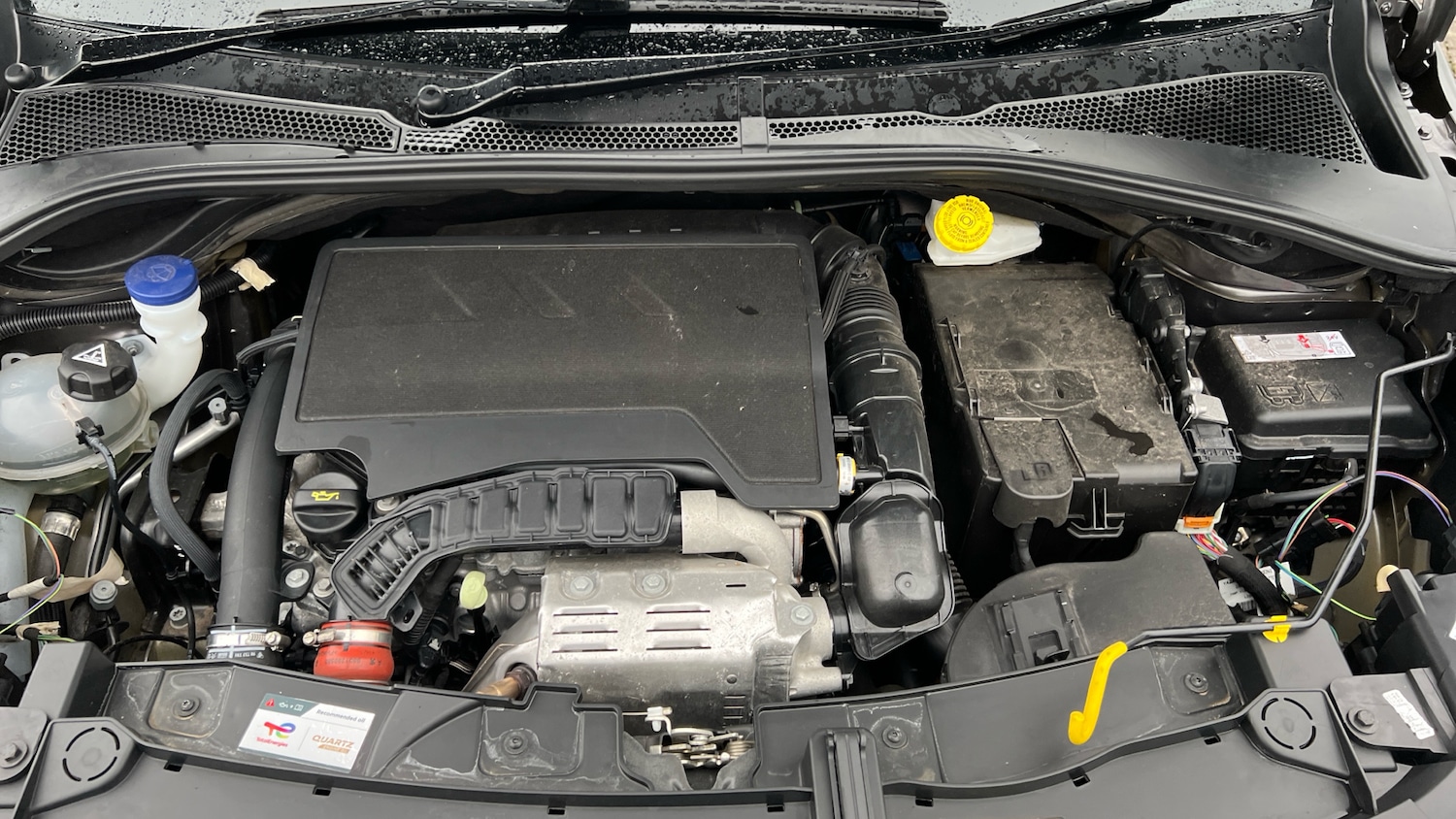 Used Citroen C3 2024 for sale - 77192795: Photo 19