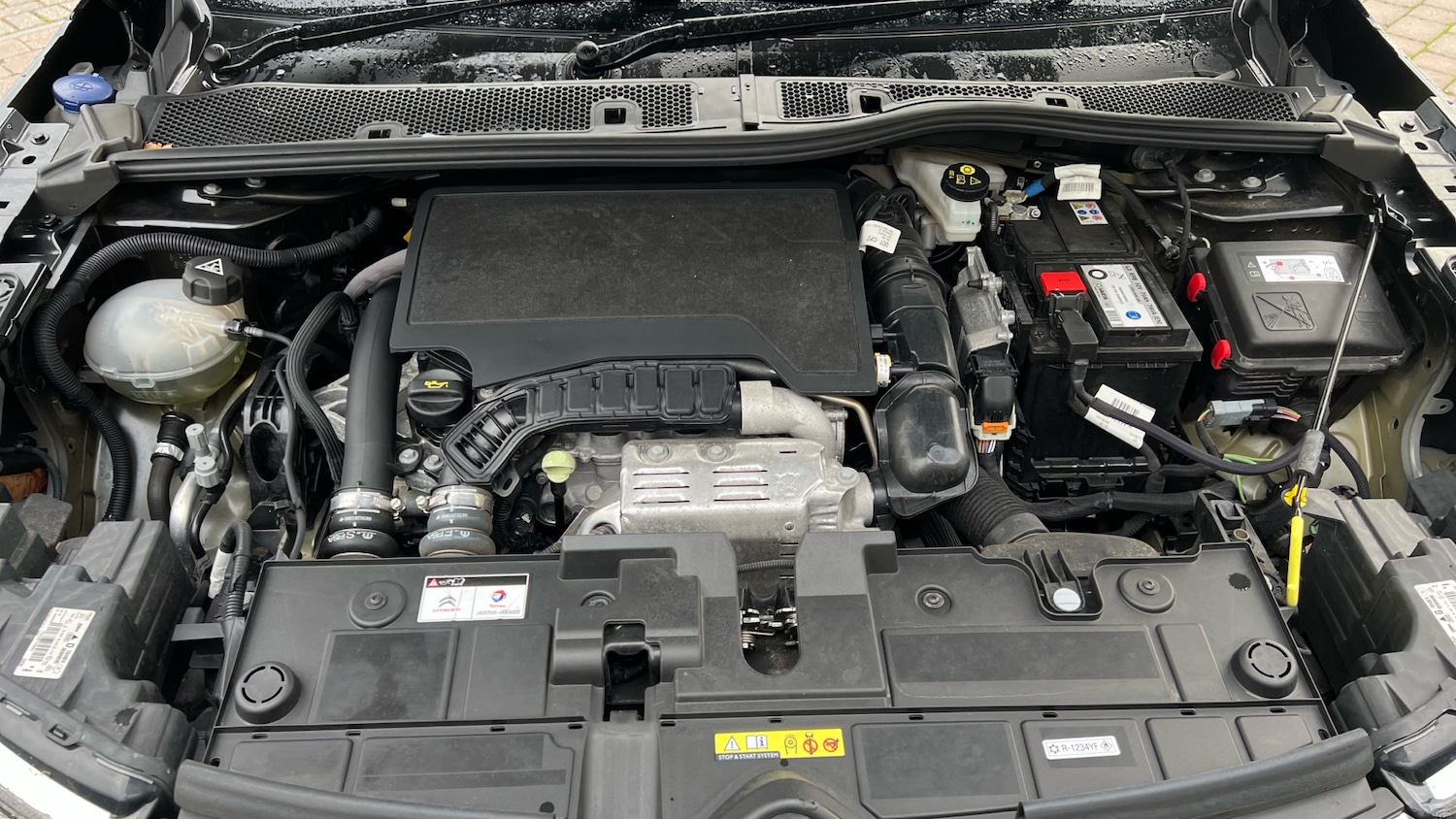 Used Citroen C4 2022 for sale - 76307990: Photo 18