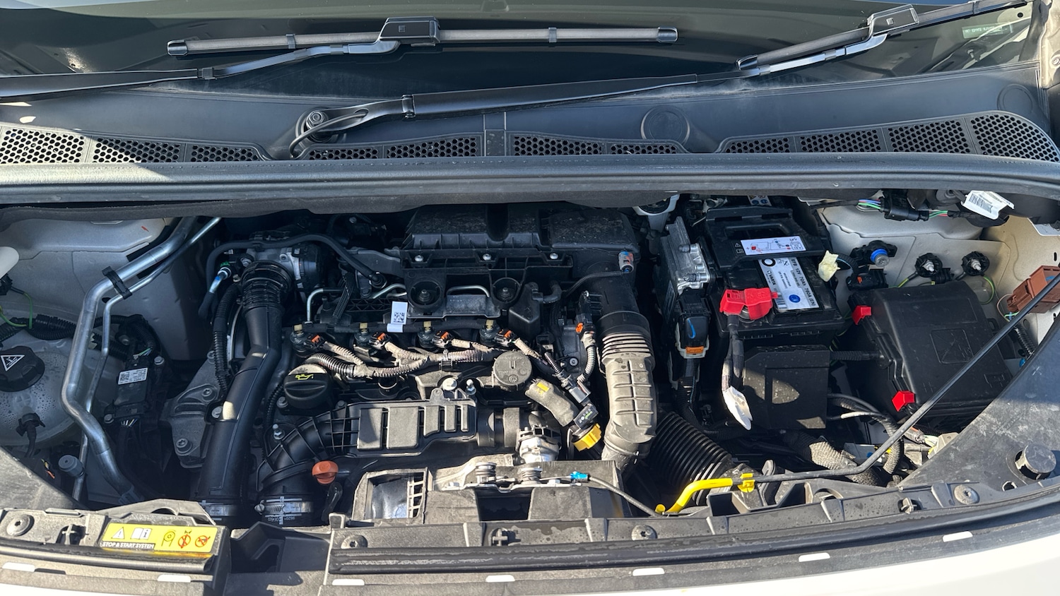 Used Citroen Berlingo 2024 for sale - 76474369: Photo 18