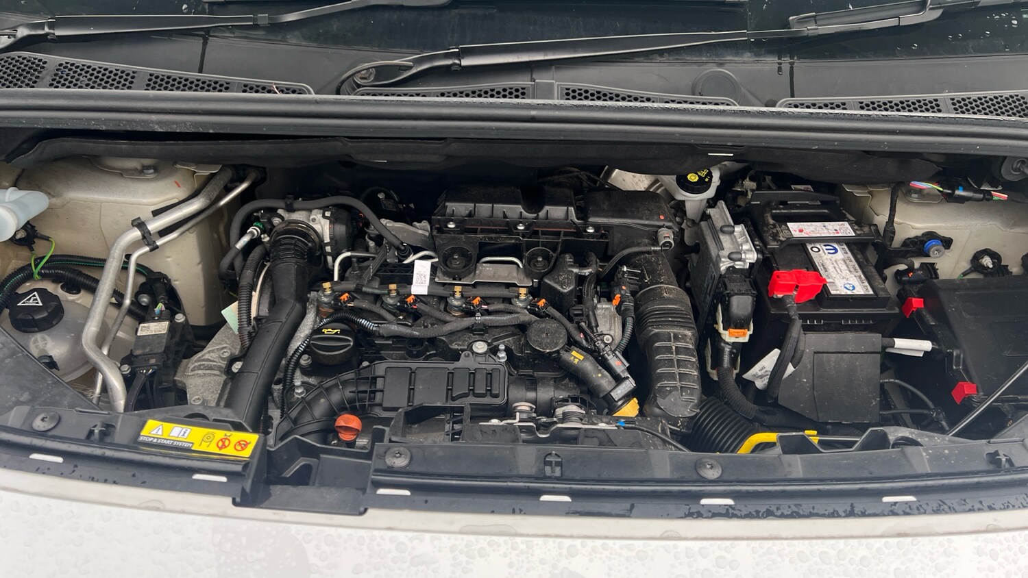 Used Peugeot Partner 2024 for sale - 77359741: Photo 18