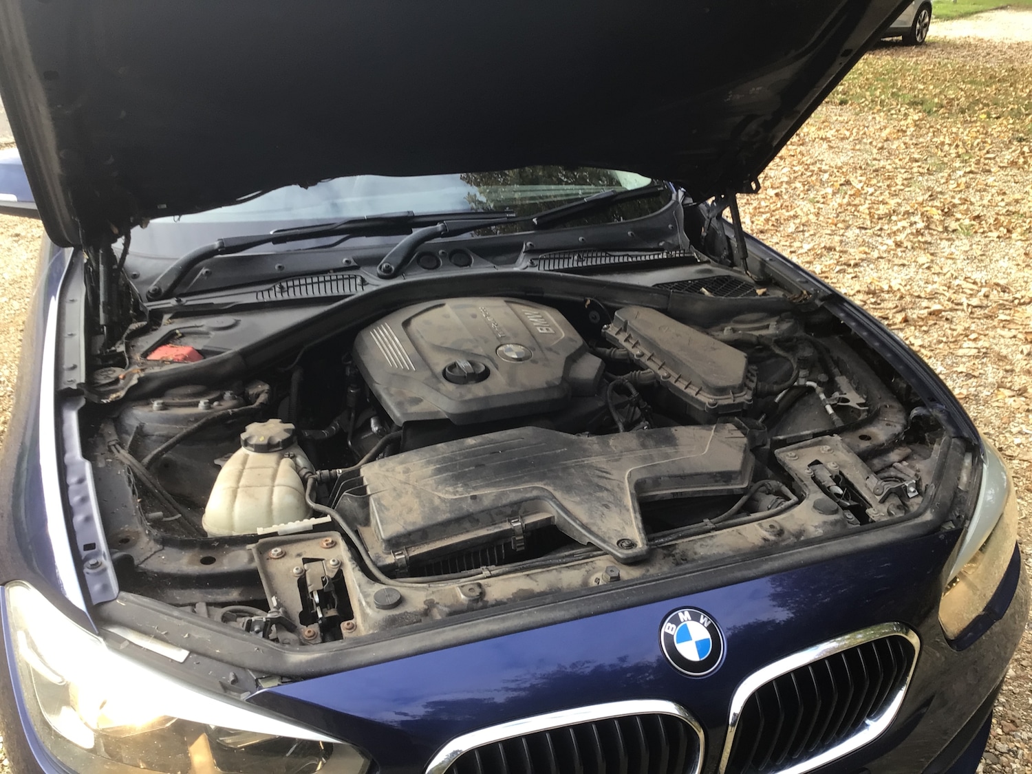 Used BMW 1 Series 2016 for sale - 76514362: Photo 23