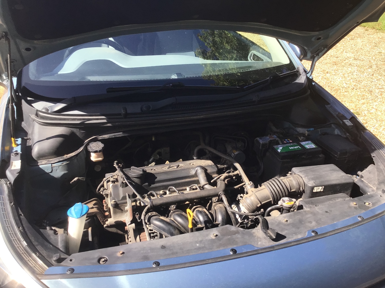 Used Hyundai i20 2016 for sale - 76514356: Photo 24